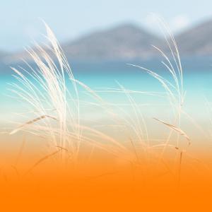 Relaxing Wellness Music For Chakra Healing And Inner Peace dari The Sleep Helpers