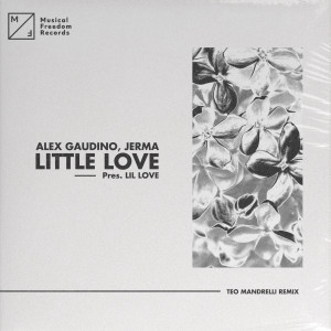 Alex Gaudino的專輯Little Love (pres. Lil' Love) [Teo Mandrelli Remix]