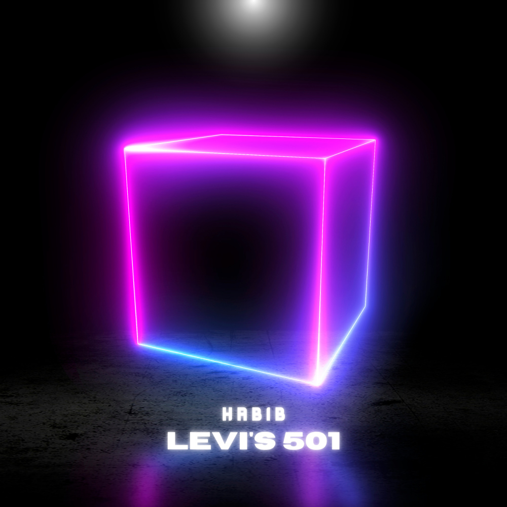 Levi's 501