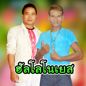Listen to ฮัลโลโนเยส song with lyrics from เงาะ งอกงาม