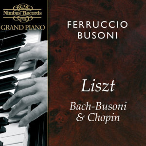 ดาวน์โหลดและฟังเพลง Grandes Études de Paganini, S. 141: No. 5 "La Chasse" พร้อมเนื้อเพลงจาก Ferruccio Busoni