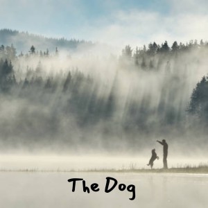 收聽Terra & Cook的The Dog歌詞歌曲