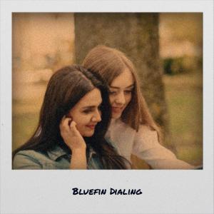 Various的专辑Bluefin Dialing