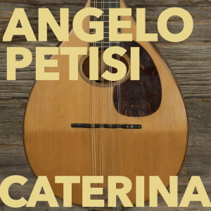 Listen to Malinconica luna song with lyrics from Angelo Petisi