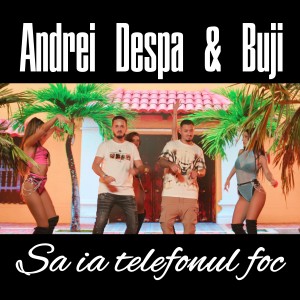 Listen to Sa ia telefonul foc song with lyrics from Andrei Despa