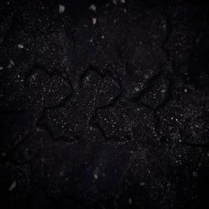 Vinil的專輯224 (Explicit)
