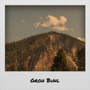 อัลบัม Groh Buhl ศิลปิน Various Artists