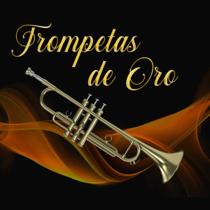 Album Trompeta de Oro oleh Nini Rosso