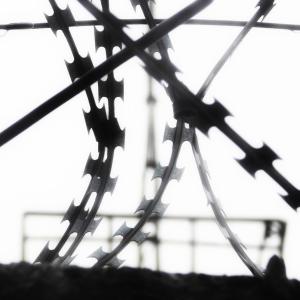 收聽Riserayss的бескрылые надежды歌詞歌曲