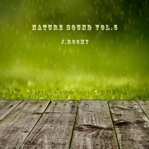 Listen to Heavy Rain (White Noise, ASMR, Nature Sound) song with lyrics from J.Roomy