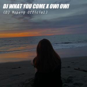 Album Dj What You Come X Owi Owi from DJ Nopeng Official