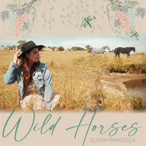 ดาวน์โหลดและฟังเพลง Wild Horses (Two Beautiful Souls) พร้อมเนื้อเพลงจาก Elisha Francesca