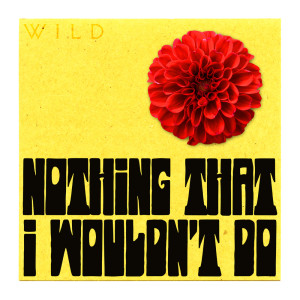 收聽Wild的Nothing That I Wouldn't Do歌詞歌曲