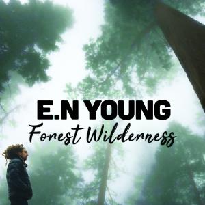 ดาวน์โหลดและฟังเพลง Forest Wilderness พร้อมเนื้อเพลงจาก E.N Young