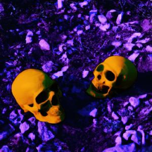 Listen to Delusional song with lyrics from Lorean