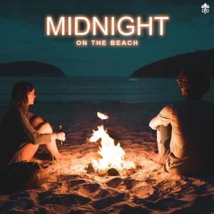 Listen to Secret Lovin'(feat. Tosovic) song with lyrics from Vidya Vidya
