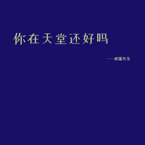 Listen to 你在天堂还好吗 song with lyrics from 威猛先生