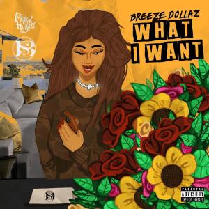 Album What I Want (Explicit) from Breeze Dollaz
