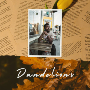 ดาวน์โหลดและฟังเพลง Dandelions พร้อมเนื้อเพลงจาก Bravyne
