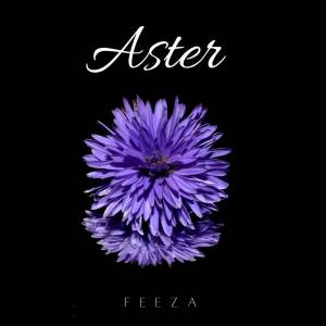 收聽Feeza的Aster歌詞歌曲