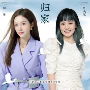 Listen to 归家 (完整版) song with lyrics from 林琳