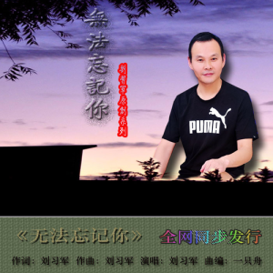 收聽劉習軍的無法忘記你歌詞歌曲