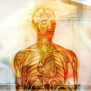 Album Leaving the Electric Circus from Sea of Wires