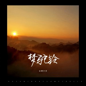 Album 梦驼铃 from 山城小艾