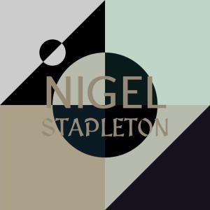 Various Artists的專輯Nigel Stapleton