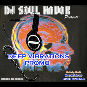 Album Deep Vibrations Promo from Dj Soul Havok