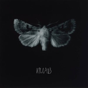 收听SLXEPING TOKYO的Numb歌词歌曲