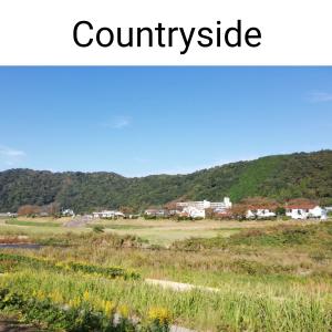 Listen to Thousand (Instrumental) song with lyrics from Michiru Aoyama