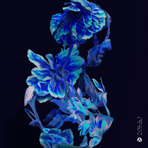 收听Claptu的Plateau歌词歌曲