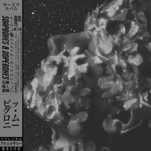 ดาวน์โหลดและฟังเพลง Opioid Addiction (feat. SwagLord) (Explicit) พร้อมเนื้อเพลงจาก Bigg Romney