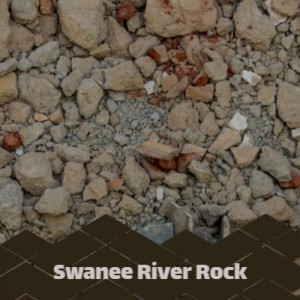Album Swanee River Rock oleh Various