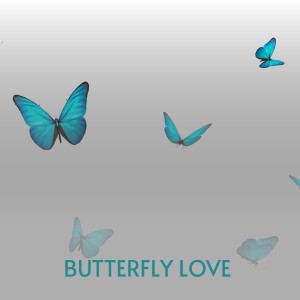 收聽Jim Reeves的Butterfly Love歌詞歌曲