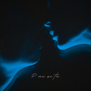 Listen to P' ME SI TU song with lyrics from Vincenzo Bles