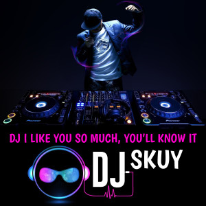 ดาวน์โหลดและฟังเพลง DJ I Like You So Much, You'll Know It พร้อมเนื้อเพลงจาก DJ Skuy