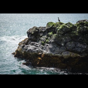 Listen to Good Days song with lyrics from Nature Sounds