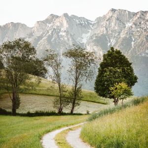 收聽SPA的Yoga歌詞歌曲