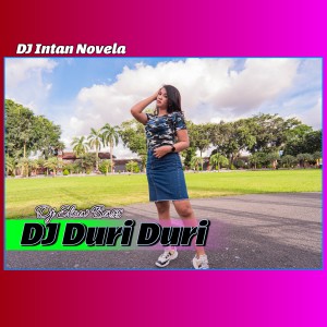 Dengarkan Duri Duri (Remix) lagu dari DJ Intan Novela dengan lirik