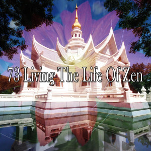 ดาวน์โหลดและฟังเพลง Increase in Serotonin พร้อมเนื้อเพลงจาก Yoga Music