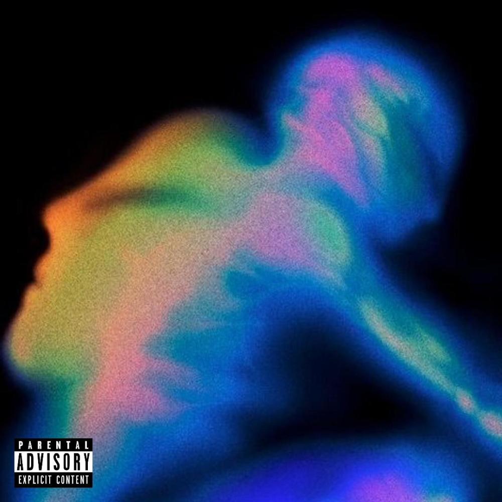 I Can't Lie (Explicit)