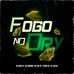 Album Fogo No Dry (Explicit) from 