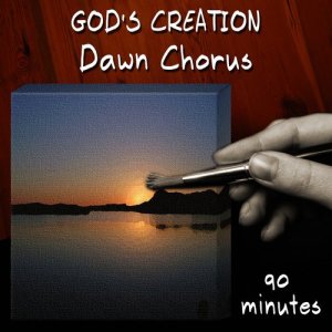 收聽God's Creation的Dawn Chorus (90 Minutes)歌詞歌曲