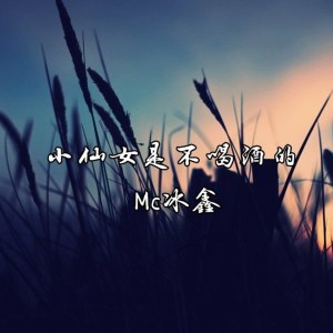 ดาวน์โหลดและฟังเพลง 小仙女是不喝酒的 พร้อมเนื้อเพลงจาก 冰鑫