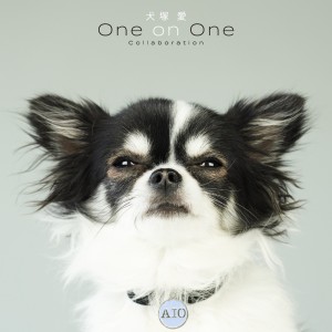 ดาวน์โหลดและฟังเพลง KimiFetish (Haruno Remix) พร้อมเนื้อเพลงจาก Otsuka Ai