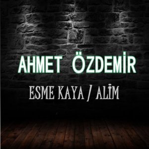 Dengarkan Gesi Bağları lagu dari Ahmet Özdemir dengan lirik