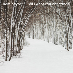 Liam Payne的專輯All I Want (For Christmas)