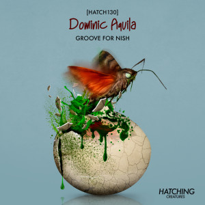 Groove for Nish dari Dominic Aquila